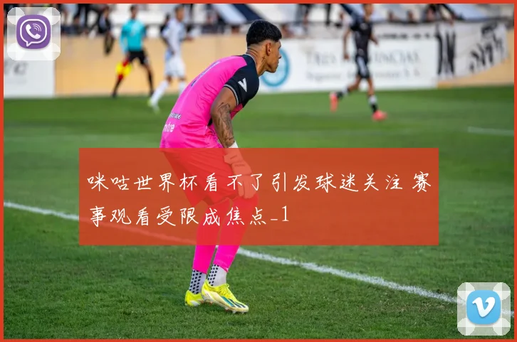 咪咕世界杯看不了引发球迷关注 赛事观看受限成焦点_1